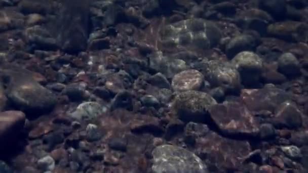 Καθαρό νερό και πέτρινος βυθός την άνοιξη στον ορεινό ποταμό Τέμνικ. — Αρχείο Βίντεο