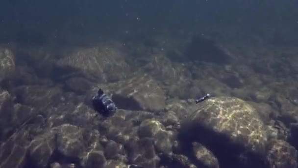 Gölge balığı balık oltaya Sualtı Balıkçılık dağ nehir Temnik. — Stok video