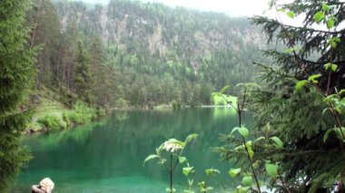 Fernsteinsee zümrüt yeşil dağ gölü Fernpass Nassereith Avusturya.
