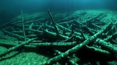 Scuba diving Fernsteinsee dağ gölü sualtı Tirol Avusturya.