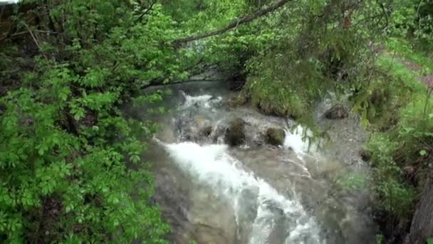 Tiché horské řeky v horského průsmyku Fern Pass v Nassereith, Rakousko. — Stock video