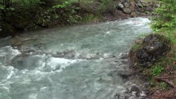 Csendes hegyi folyó Fernpass Nassereith, Ausztria. — Stock videók