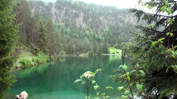 Fernsteinsee smaragd gröna fjällsjö på Fernpass i Nassereith Österrike. — Stockvideo