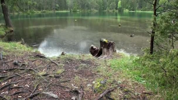 Rain on Fernsteinsee green mountain lake at Fernpass in Nassereith Austria. — Stock Video