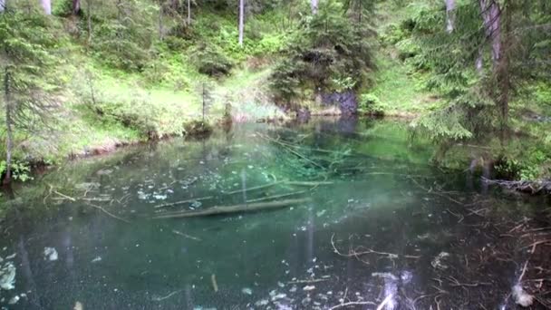 Fernpass 레이스 오스트리아에서에서 녹색 숲의 호수에 비. — 비디오