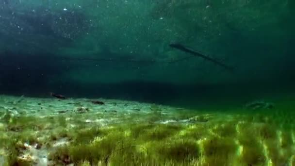 Fernsteinsee vuoristojärvi veden alla Tiroli Itävalta . — kuvapankkivideo