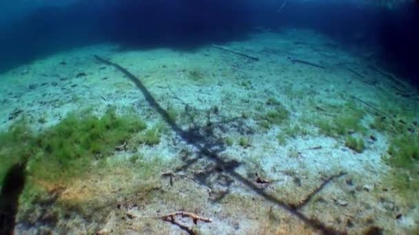 Fernsteinsee lago de montanha subaquático Tirol Áustria . — Vídeo de Stock