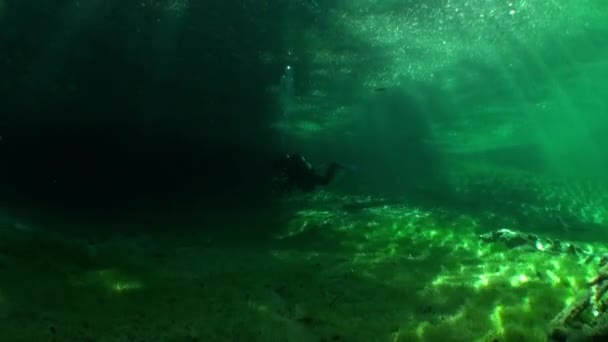 Fragments d'arbres et d'herbe dans le paysage sous-marin du lac Fernsteinsee . — Video