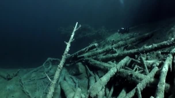 Fragments of trees and grass in underwater landscape of Fernsteinsee lake. — Stock Video