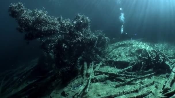 Dykning i Fernsteinsee mountain lake undervattens Tyrolen Österrike. — Stockvideo