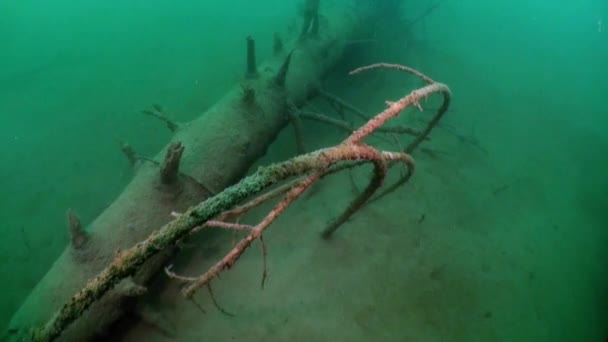 Fragments of trees and grass in underwater landscape of Fernsteinsee lake. — Stock Video