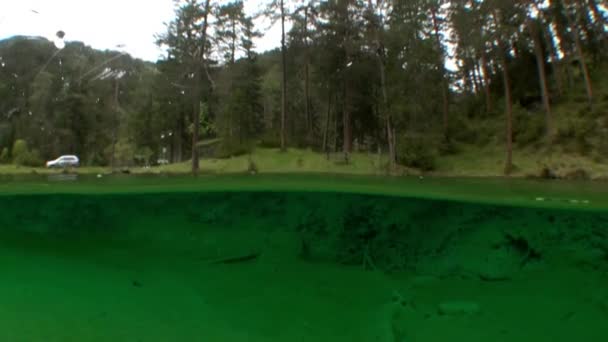 Fernsteinsee hegyi tó víz alatti Tirol Ausztria. — Stock videók