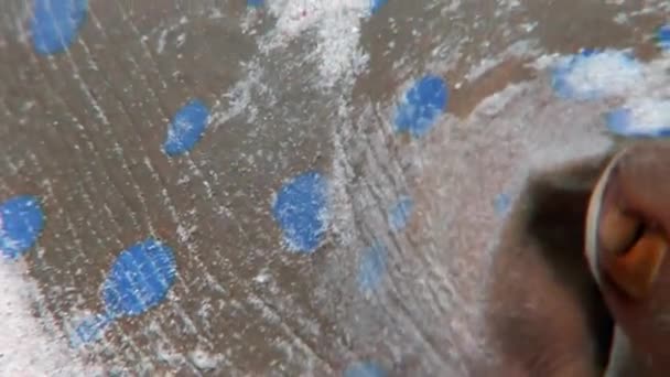 Close-up Bluespotted stingray Taeniura Lumma subaquático Mar Vermelho . — Vídeo de Stock