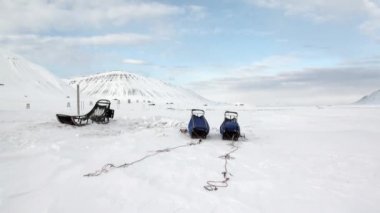 Arctic karda arka plan üzerinde köpek takım için kızak.