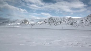 Arctic karda arka plan üzerinde köpek takım için kızak.