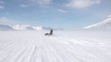 Kuzey kutup kuzey kutbunda yolda köpek kızağı takım husky Eskimo insanlar seferi.