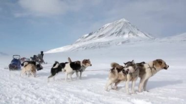 Kuzey kutup kuzey kutbunda yolda köpek kızağı takım husky Eskimo insanlar seferi.