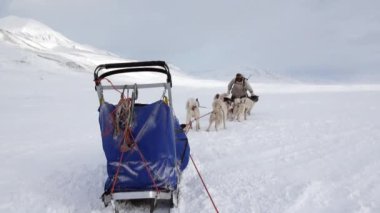 Adam köpek kızağı takım husky Eskimo beyaz karlı yol Kuzey kutup kuzey kutbunda.