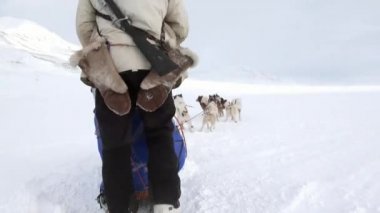 Adam binme Köpek kızağı takım husky Eskimo beyaz karlı yol Kuzey kutup kuzey kutbunda.