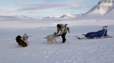 Adam köpek kızağı temeli, takım üzerinde Arctic Kuzey kutbunda husky eskimo.