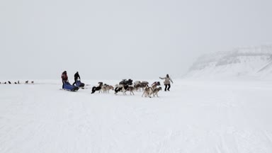 Köpek kızağı yolculukta insanların takım husky Eskimo Kuzey kutbunda Arctic.