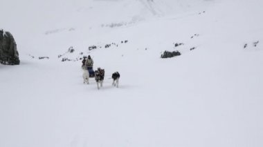 İnsanlar sefer binme Köpek kızağı takım husky Eskimo Kuzey kutbunda Arctic.