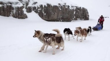 Kuzey kutup kuzey kutbunda beyaz karlı yol üzerinde köpek kızağı takım kişini.