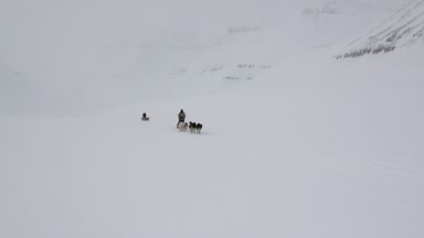 İnsanlar keşif kutup kuzey kutbunda karlı yol köpek kızağı takım sürme.