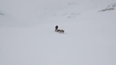 Kuzey kutup kuzey kutbunda beyaz karlı yol üzerinde köpek kızağı takım kişini.