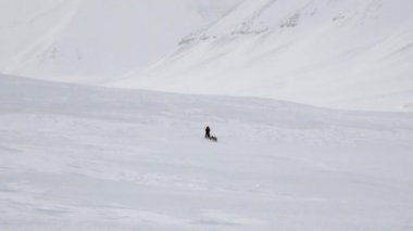 Kuzey kutup kuzey kutbunda beyaz karlı yol üzerinde köpek kızağı takım kişini.