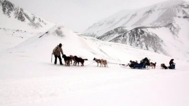 Adam binme Köpek kızağı takım husky Eskimo beyaz karlı yol Kuzey kutup kuzey kutbunda.
