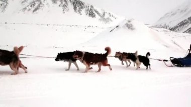 Kuzey kutup kuzey kutbunda yolda köpek kızağı takım husky Eskimo insanlar seferi.
