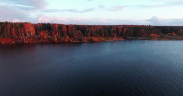 Rio Volga no outono ao nascer do sol quadricóptero vista aérea sobre floresta 4k . — Vídeo de Stock