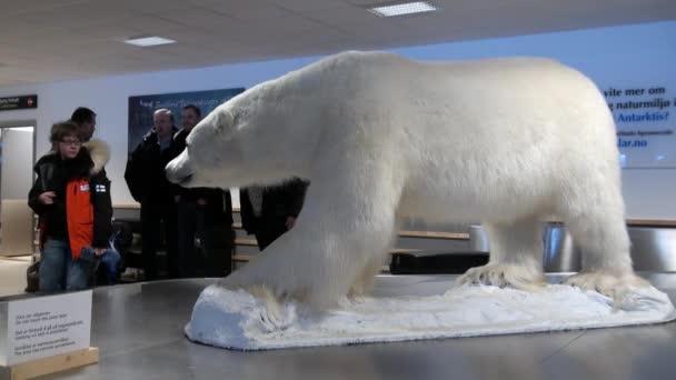 People at airport near stuffed animal big polar bear in Spitsbergen. — Stock Video