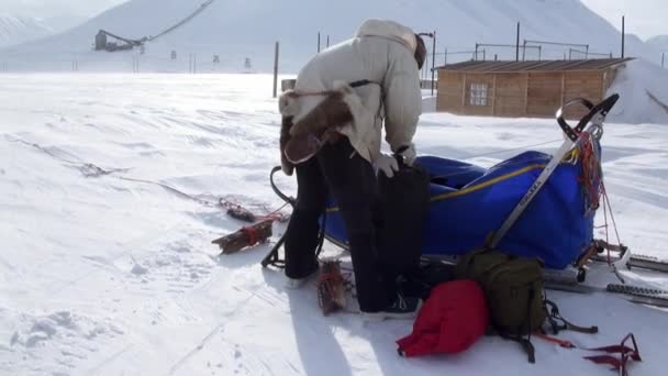 Άνθρωποι αποστολή ομάδα σκύλων με έλκηθρο χάσκι Εσκιμώος δρόμο του βόρειου πόλου στην Αρκτική. — Αρχείο Βίντεο