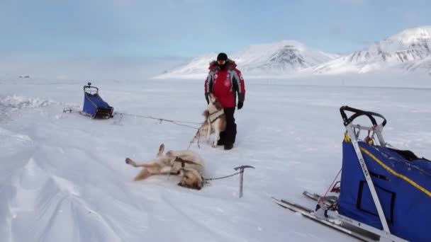 Gente expedición en trineo perro equipo husky camino esquimal del Polo Norte en el Ártico . — Vídeos de Stock