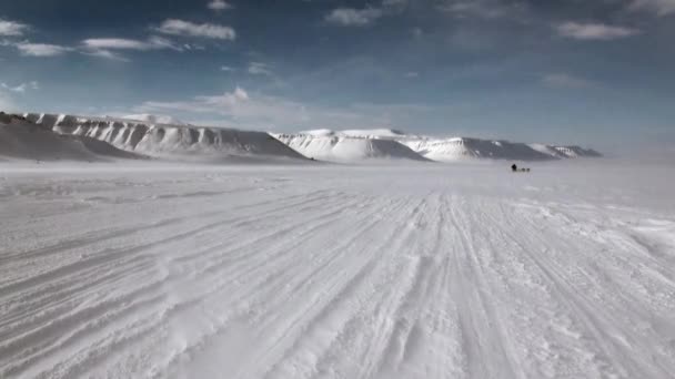 Gente expedición en trineo perro equipo husky camino esquimal del Polo Norte en el Ártico . — Vídeo de stock
