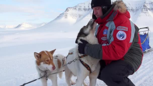 Człowiek u podstawy psich zaprzęgów zespołu husky eskimo na biegun północny w Arktyce. — Wideo stockowe