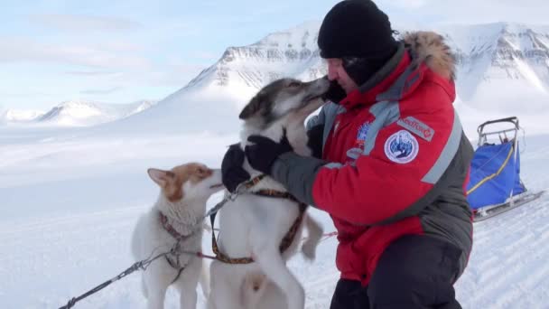 Man at base of dog sled team husky eskimo on North Pole in Arctic. — Stock Video