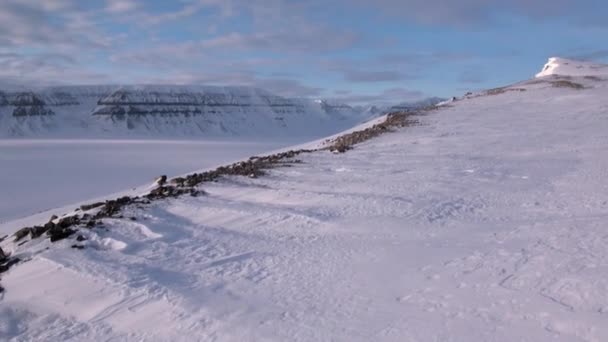 Incredibile paesaggio desertico ghiacciato nell'Artico . — Video Stock