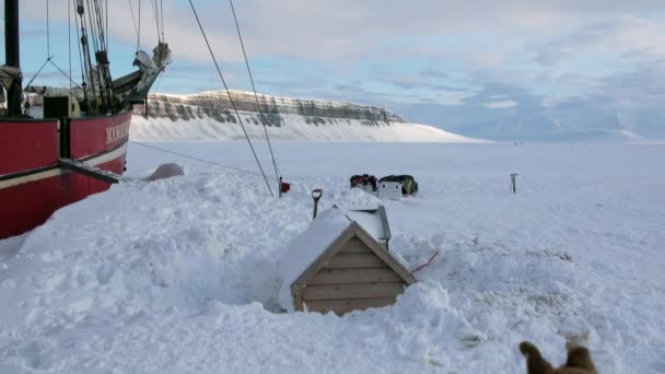 Парусник Noorderlicht basecamp в Арктике . — стоковое видео