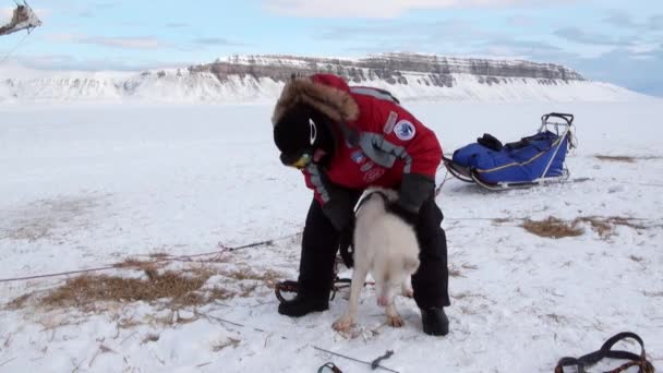 Emberek expedíció kutyaszán csapat husky eszkimó úton az Északi-sark, Északi-sark. — Stock videók