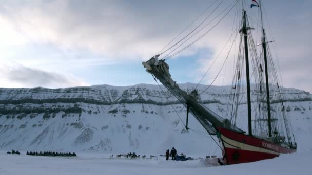狗雪橇队爱斯基摩爱斯基摩人在帆船 Noorderlicht 在北极. — 图库视频影像