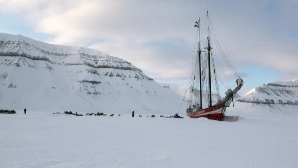 Dog sled team husky eskimo on sailboat Noorderlicht in Arctic. — Stock Video
