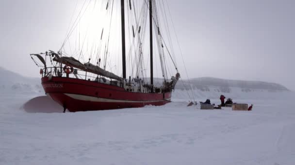 Dog sled team husky eskimo near sailboat Noorderlicht in Arctic. — Stock Video