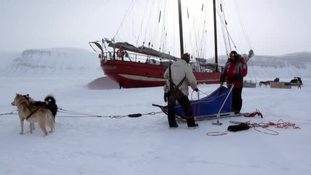 Zeilboot zeilschip Noorderlicht basecamp in Noordpoolgebied. — Stockvideo