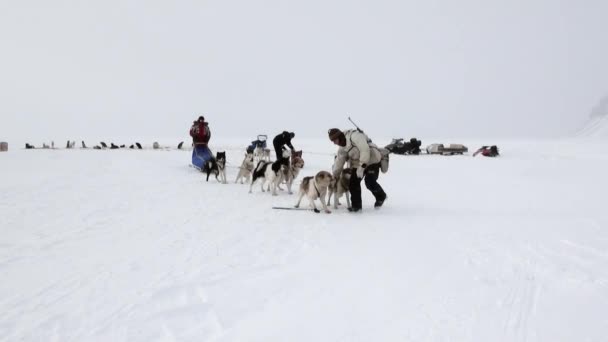 Personer expedition på hundspann team på snöig väg av Nordpolen i Arktis. — Stockvideo