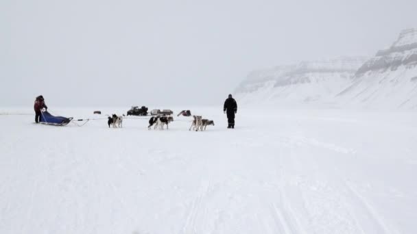 Pessoas expedição em cão trenó equipe husky esquimó Pólo Norte no Ártico . — Vídeo de Stock