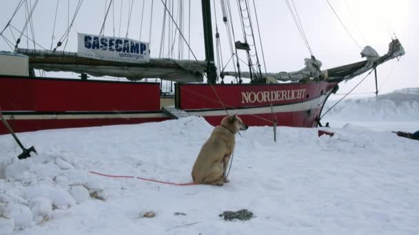 Żaglowiec żaglówkę Noorderlicht basecamp w Arktyce. — Wideo stockowe