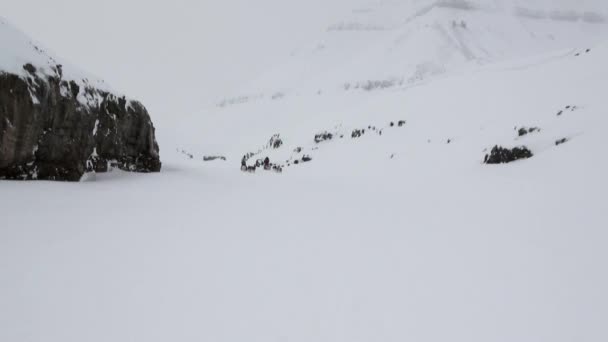Άνθρωποι εκστρατεία ιππασίας σκυλί έλκηθρο ομάδα μεγαλόσωμος Εσκιμώος βόρειο πόλο, στην Αρκτική. — Αρχείο Βίντεο
